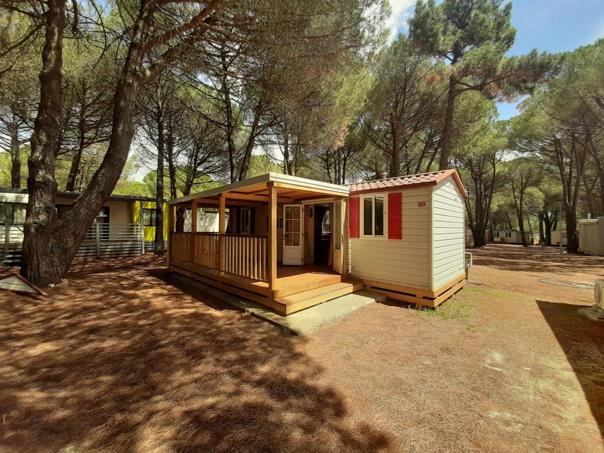 Lux Camp - Mobile Homes In Bi Village Fažana Exteriér fotografie